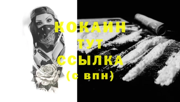 прущий лед Вяземский