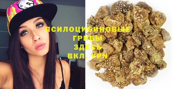 прущий лед Вяземский