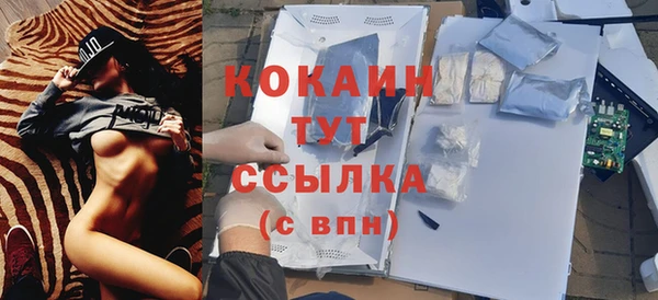 прущий лед Вяземский
