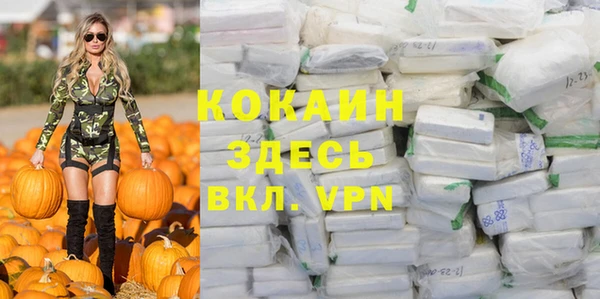 прущий лед Вяземский