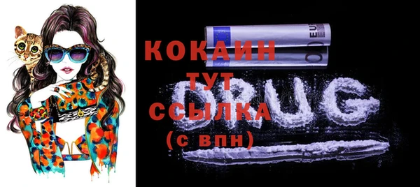 прущий лед Вяземский